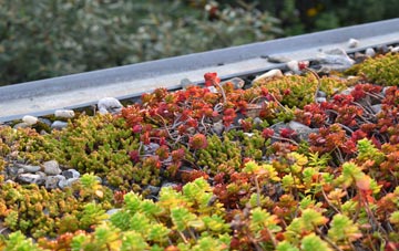 the cost of Warthill green roof installation