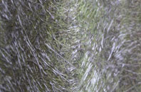 Warthill fibreglass roof work